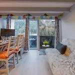 Grand Roc - Campanules 319 - Happy *