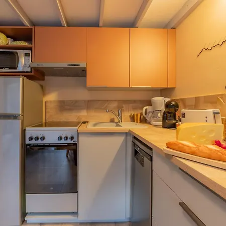 Grand Roc - Campanules 319 - Happy Apartment Chamonix