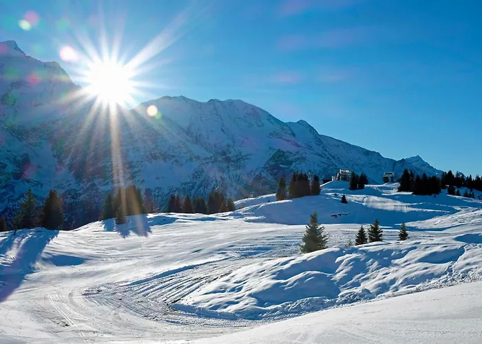 Grand Roc - Campanules 319 - Happy