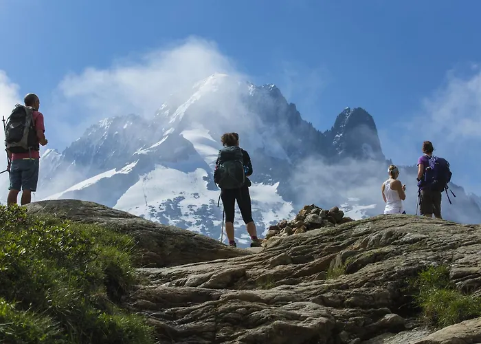 Grand Roc - Campanules 319 - Happy *