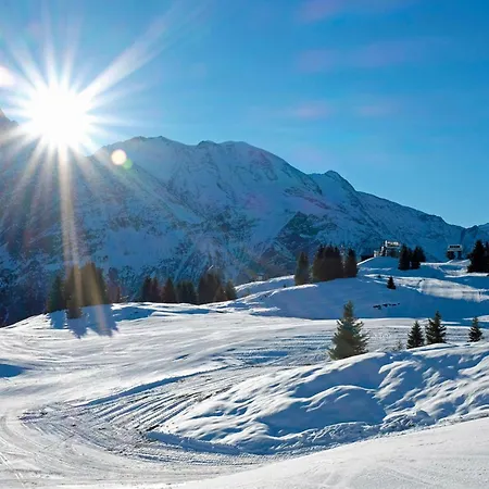 Grand Roc - Campanules 319 - Happy