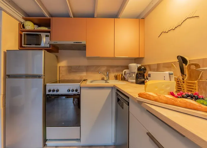 Grand Roc - Campanules 319 - Happy Apartman Chamonix