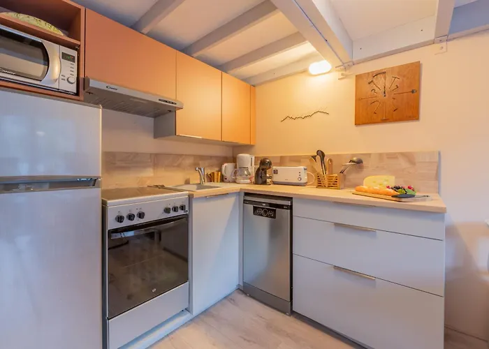 Apartman Grand Roc - Campanules 319 - Happy Chamonix